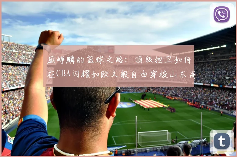 庞峥麟的篮球之路：顶级控卫如何在CBA闪耀如欧文般自由穿梭山东高速